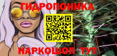 стафф Обнинск