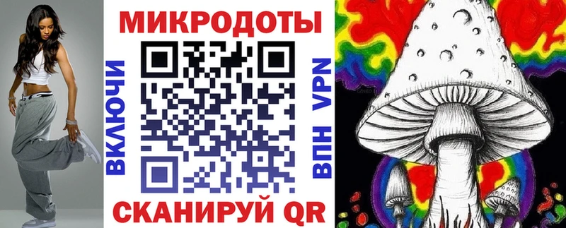 Псилоцибиновые грибы мицелий  Сокол 