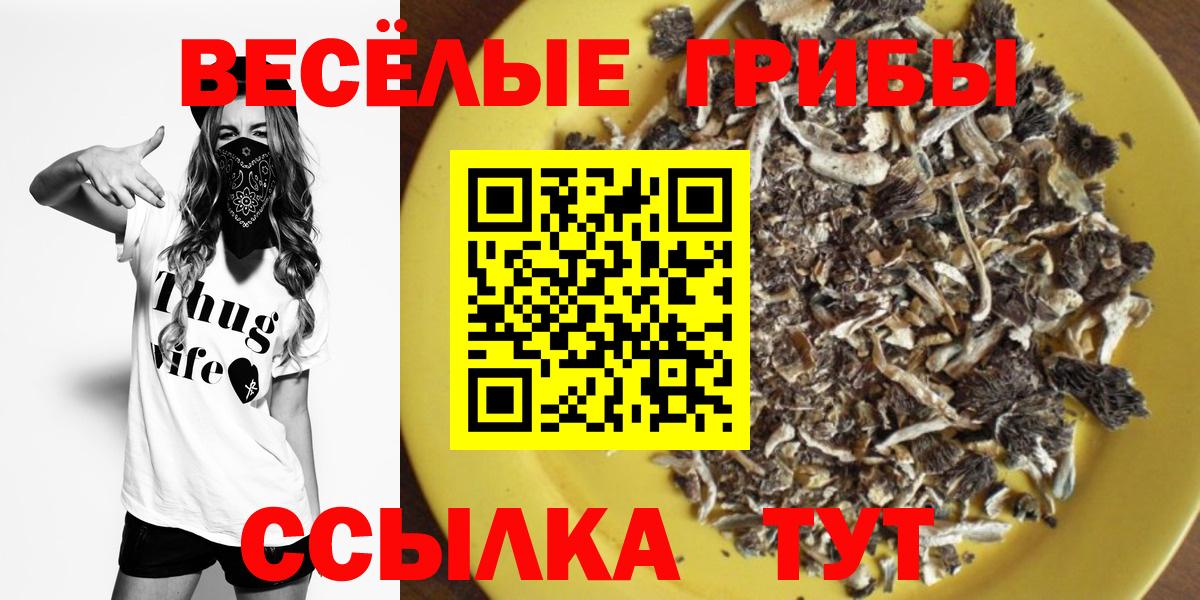 Галлюциногенные грибы мицелий Сокол