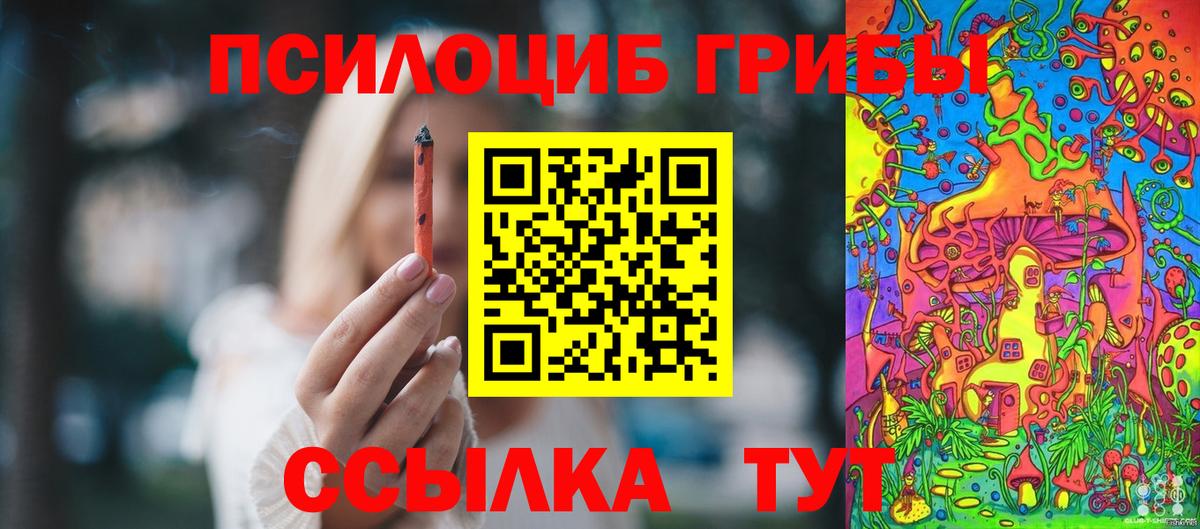 Сокол  Псилоцибиновые грибы мицелий  Галлюциногенные грибы ЛСД  Вход с VPN 