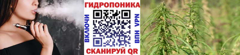 МАРИХУАНА Amnesia  Сокол 